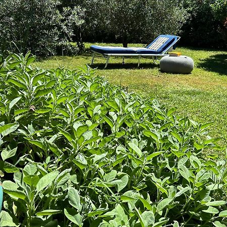 Golden Hill - Big Rooms With Kitchen And Garden Collina d'Oro Bagian luar foto