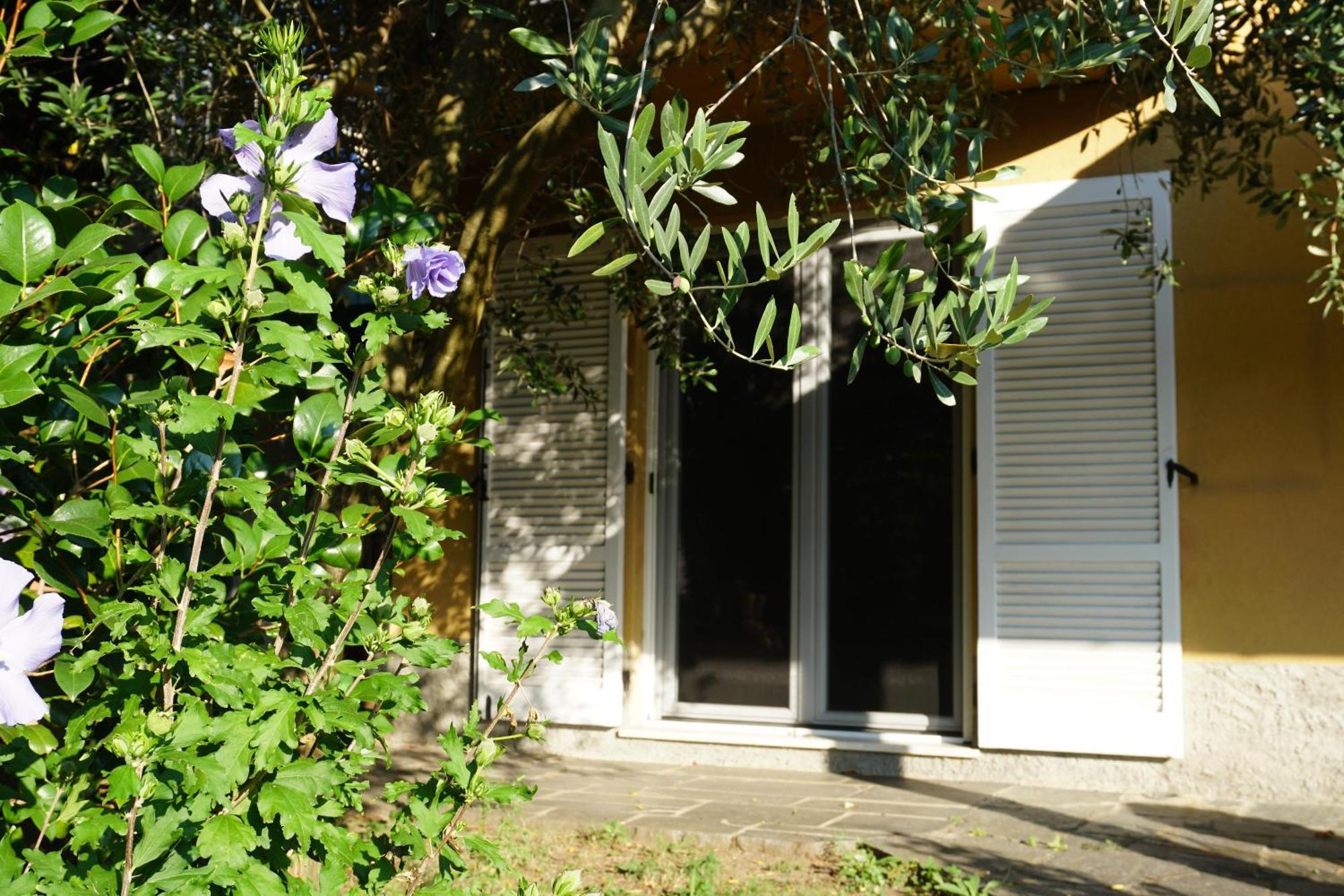 Golden Hill - Big Rooms With Kitchen And Garden Collina d'Oro Bagian luar foto