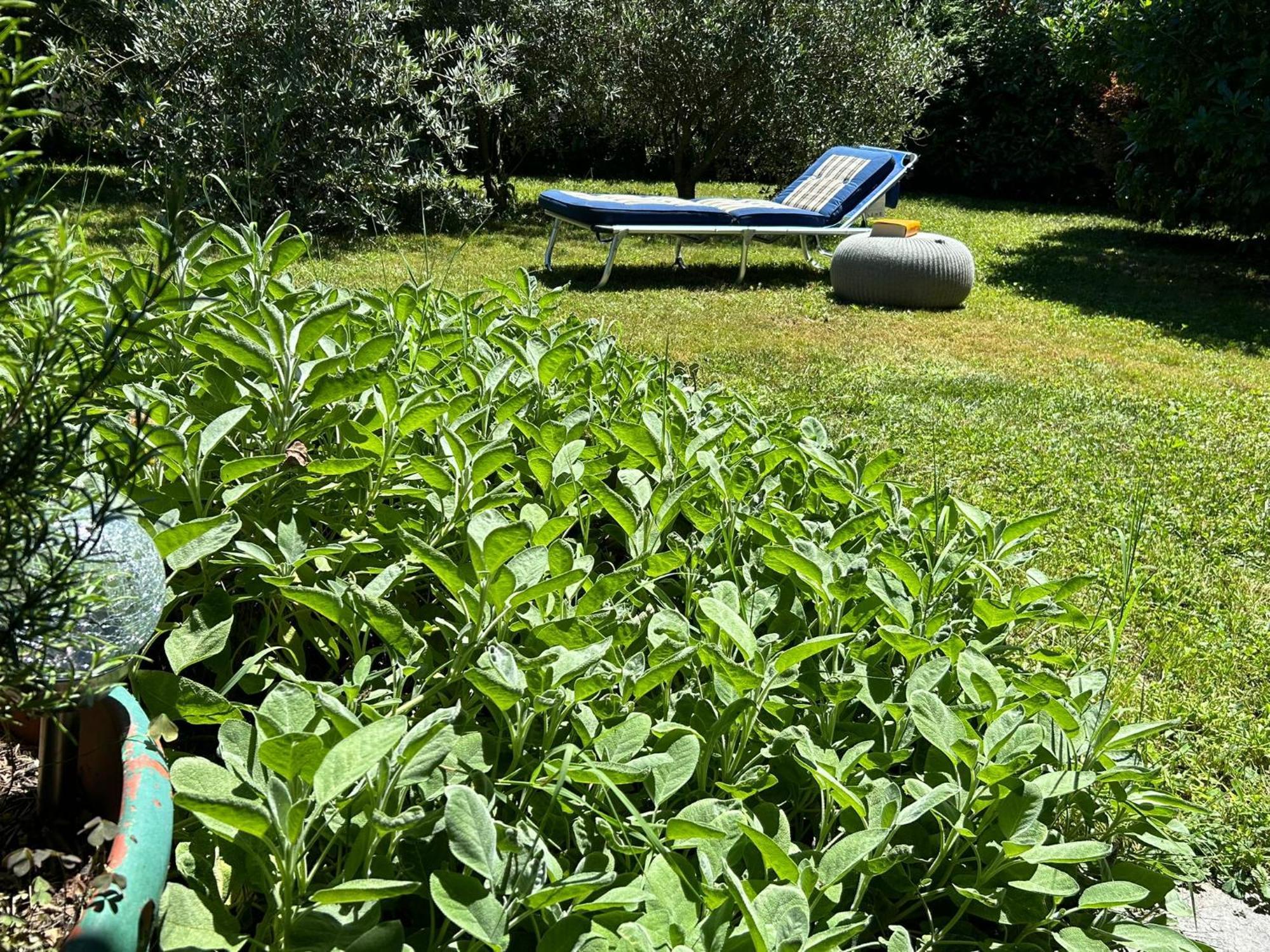 Golden Hill - Big Rooms With Kitchen And Garden Collina d'Oro Bagian luar foto